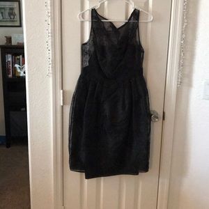 David’s Bridal Black  Embroidered Organza Dress